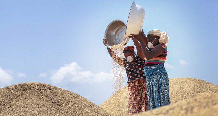 Nigerian Women Preparing Grain (Photo Credit: Africa Report)