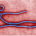 Ebola Outbreak in Uganda, Congo DRC  Threatens Rwanda and South Sudan,  Says Africa Centres for Disease Control and Prevention